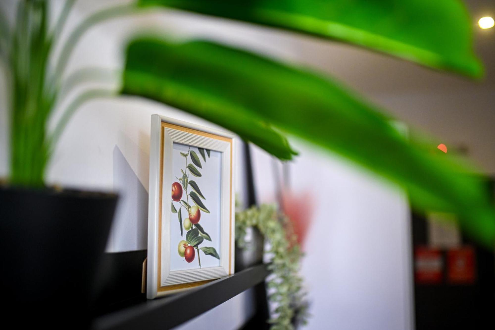 Urban Elegance - Stylish Central Accommodation Bucureşti Rom bilde